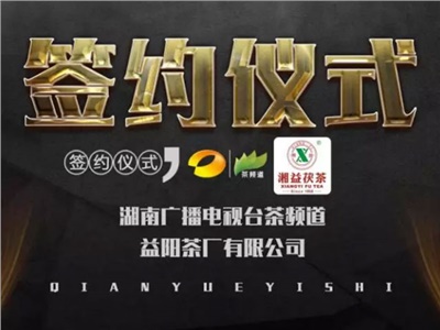 湘益茯，美茗揚(yáng) 丨湘益茯茶與茶頻道達(dá)成長期戰(zhàn)略合作