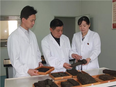 傳承茯茶非遺技藝、開拓創(chuàng)新引領(lǐng)行業(yè)發(fā)展